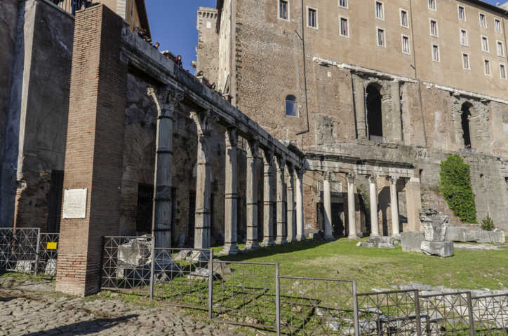 33 - Italia - Roma - Foro Romano - Portico de los Dioses Consejeros